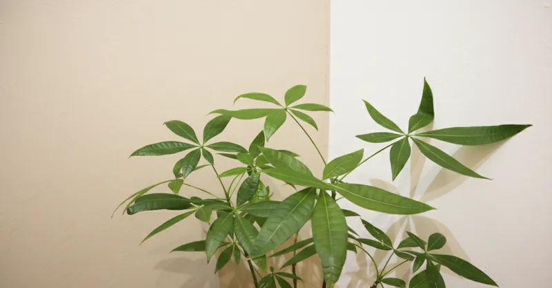 綠意植栽